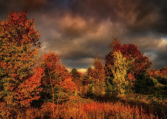 Foliage Greeting Card featuring the photograph Dramatic Autumn sky landscape by Lilia S