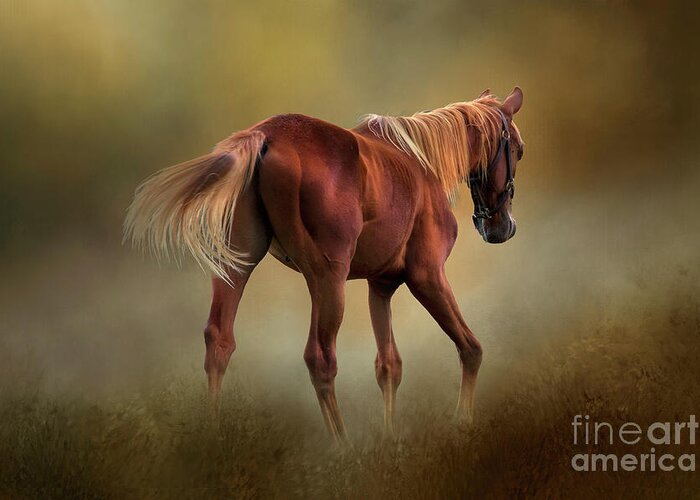 Horse Greeting Card featuring the photograph Dream Horse by Shelia Hunt