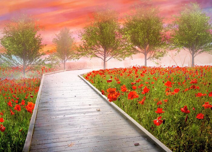 Carolina Greeting Card featuring the photograph Dreamy Walk in Poppies by Debra and Dave Vanderlaan