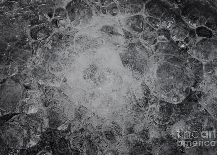 Ice Drops Greeting Card featuring the photograph Drops Of Ice by Stefania Caracciolo