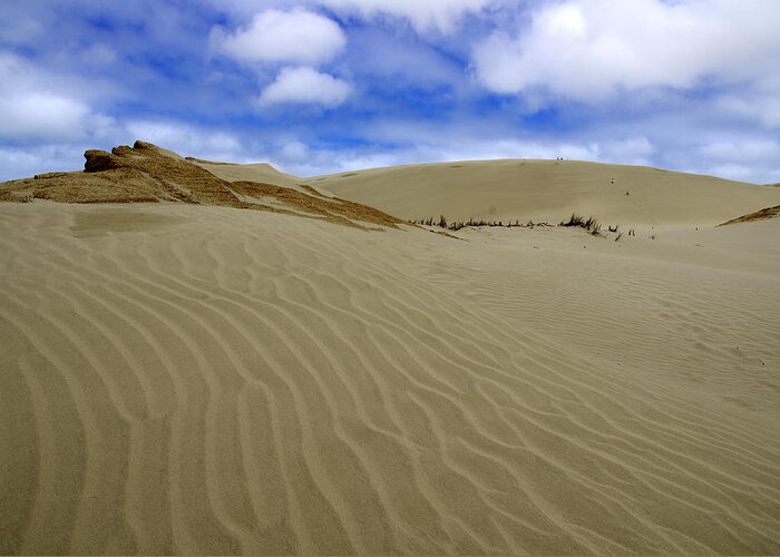 Dunes Greeting Card featuring the photograph Dunes of The Northland - 90 Mile Beach, New Zealand by Kenneth Lane Smith