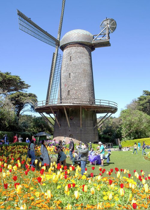 Windmill Greeting Card featuring the photograph Dutch Windmill In Golden Gate Park by Her Arts Desire