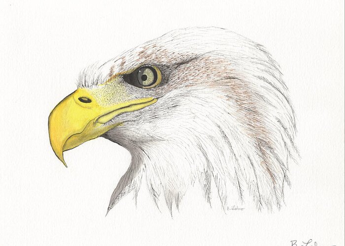 Eagle Watercolor Greeting Card featuring the painting Eagle #1 by Bob Labno