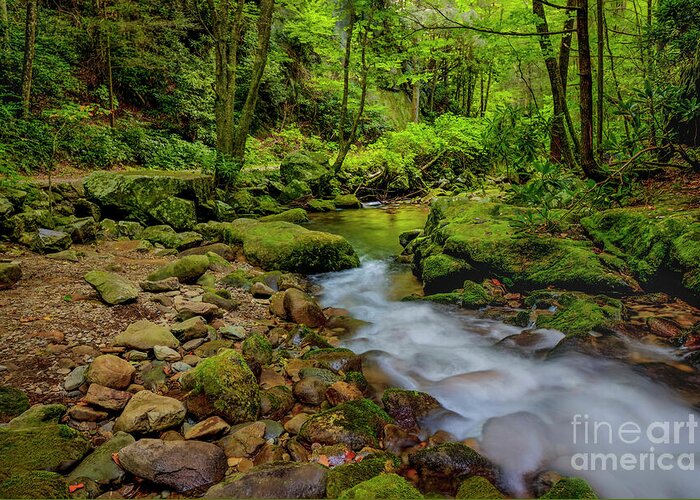 Morning Greeting Card featuring the photograph Early Morning on Rocky Fork by Shelia Hunt