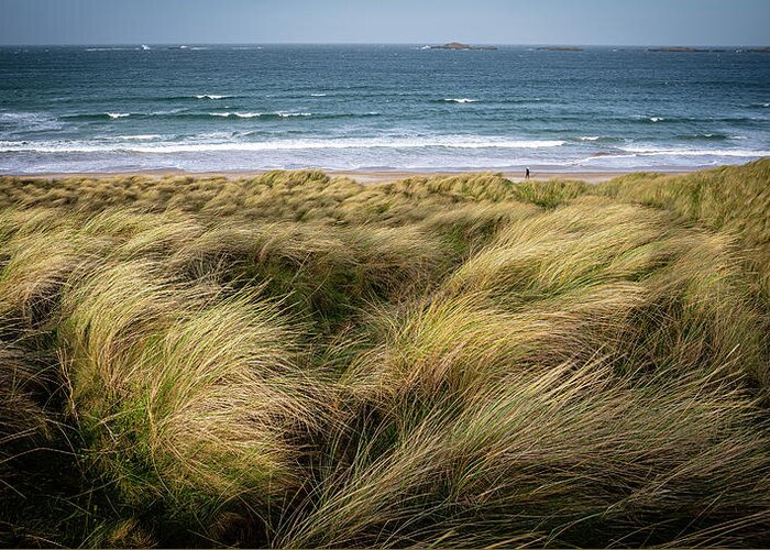 Portrush Greeting Card featuring the photograph East Strand Dunes 2 by Nigel R Bell