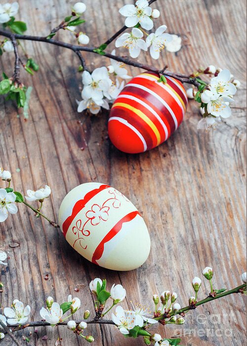 Easter Greeting Card featuring the photograph Easter eggs and cherry blossom bran by Jelena Jovanovic