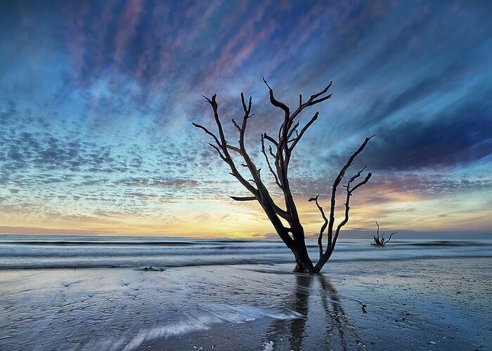 Nature Greeting Card featuring the photograph Edisto Morning by Jon Glaser