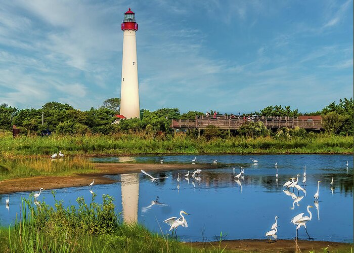 Egret Greeting Card featuring the photograph Egrets at Cape May Light by Nick Zelinsky Jr