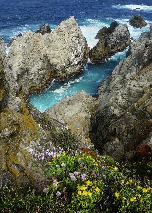 Point Lobos Greeting Card featuring the photograph North Point by Brett Harvey