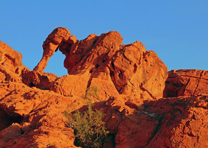 Landscape Greeting Card featuring the photograph Elephant Rock by Carl Moore