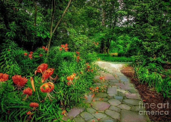 Lily Greeting Card featuring the photograph Enchanting Pathway at Duke Gardens by Shelia Hunt