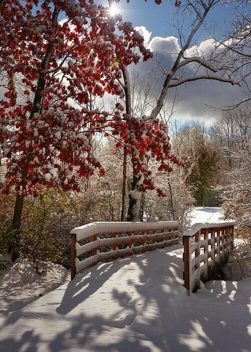  Greeting Card featuring the photograph Gateway to Winter by Rob Blair