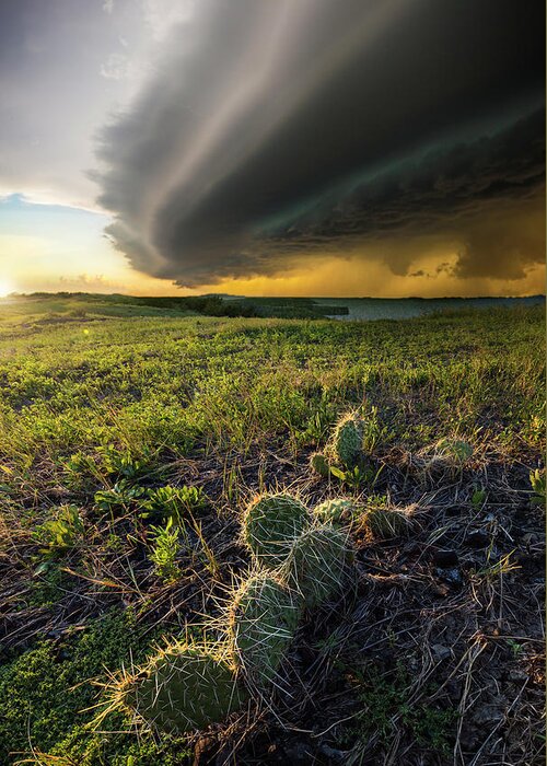 Chaos Greeting Card featuring the photograph Entropy by Aaron J Groen