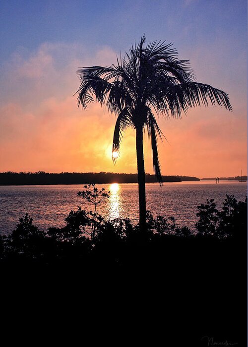 Nunweiler Greeting Card featuring the photograph Estero Bay Sunrise by Nunweiler Photography