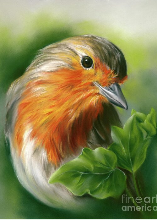 Bird Greeting Card featuring the painting European Robin with Ivy Leaves by MM Anderson