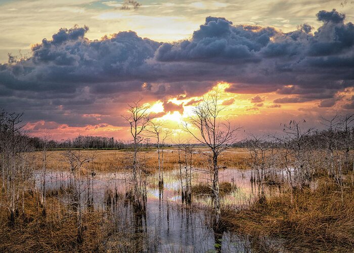 Clouds Greeting Card featuring the photograph Evening Everglades by Debra and Dave Vanderlaan
