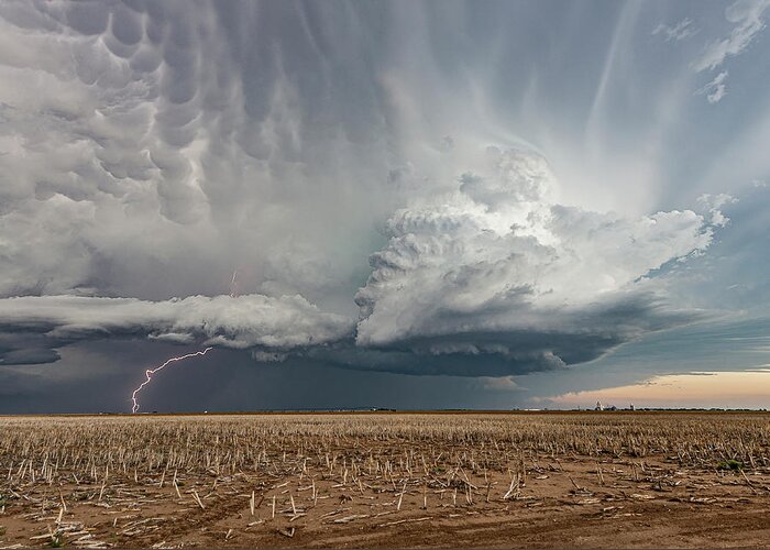 Storm Greeting Card featuring the photograph Evening Harvest by Marcus Hustedde