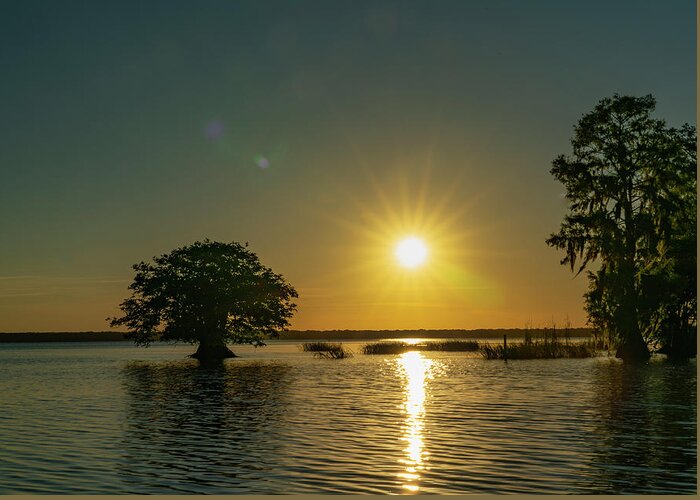 Blue Cypress Lake Greeting Card featuring the photograph Evening Sunburst by Todd Tucker