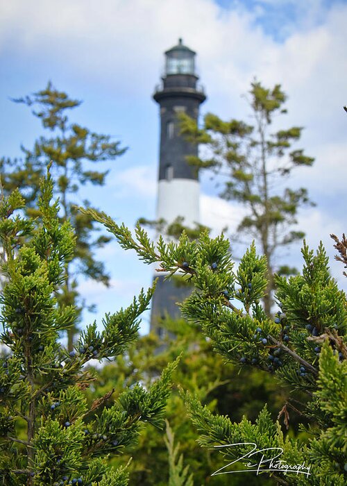 Fire Island Lighthouse Greeting Card featuring the photograph Ever Green by Ingrid Zagers