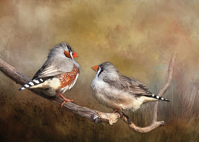 Finch Greeting Card featuring the photograph Exotic Zebra Finch by Theresa Tahara