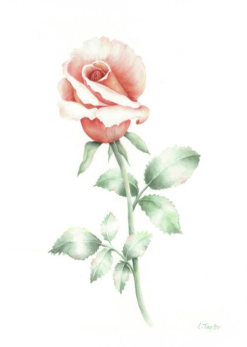 Rose Greeting Card featuring the painting Faith by Lori Taylor