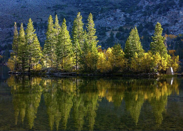 Dawn Greeting Card featuring the photograph Dawn - Fall Aspen Reflections - Silver Lake - June Lake Loop - Eastern Sierra by Bonnie Colgan