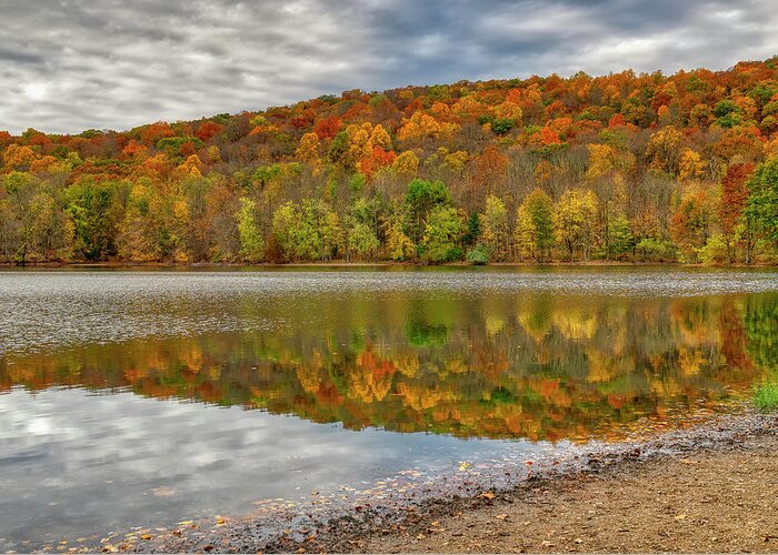 Fall Foliage Greeting Card featuring the photograph Fall at Ramapo by Penny Polakoff
