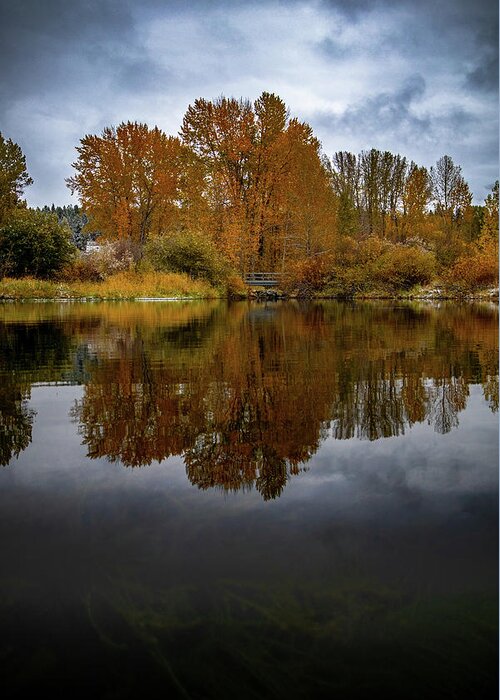 Landscape Greeting Card featuring the photograph Fall colors by Thomas Nay