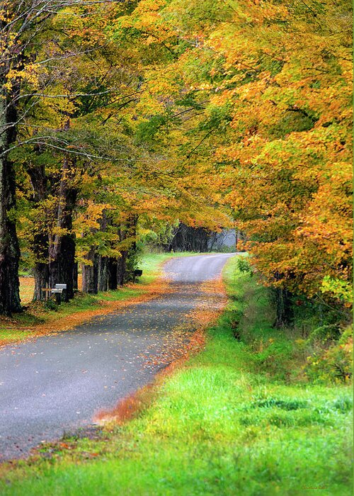 Fall Greeting Card featuring the photograph Fall Country Road by Christina Rollo