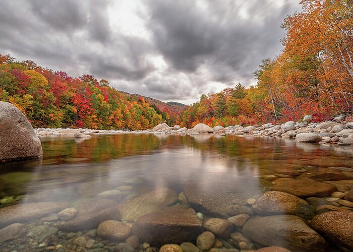 Foliage Greeting Card featuring the photograph Fall Foliage on the East Branch Pemigewasset River II by William Dickman