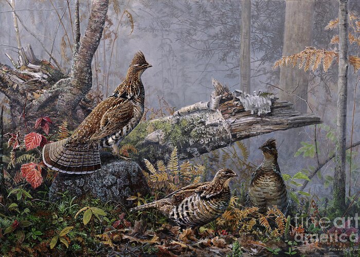 Scott Zoellick Greeting Card featuring the painting Fall Gathering Roughed Grouse by Scott Zoellick