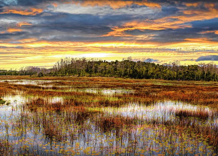Clouds Greeting Card featuring the photograph Fall Panorama Overlooking the Marsh by Debra and Dave Vanderlaan