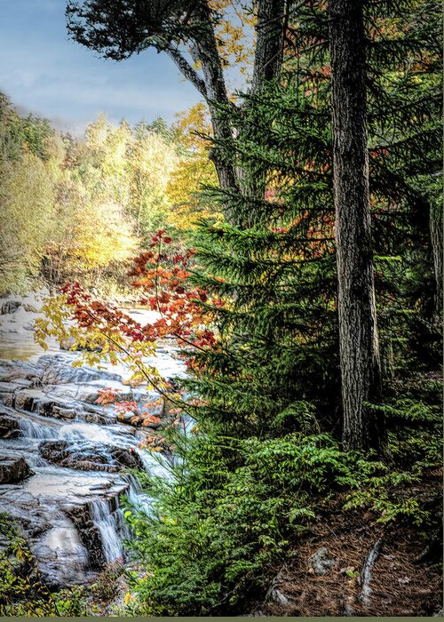 Fall Greeting Card featuring the photograph Fall upon fall by Patricia Dennis
