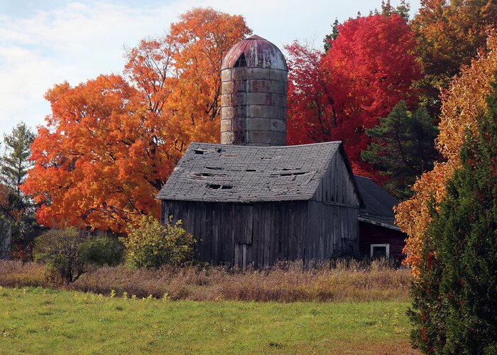 Silo Greeting Card featuring the photograph Fall Weathered Barn and Silo 2 by David T Wilkinson