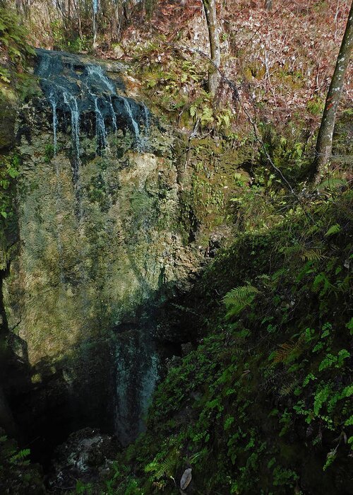 Waterfall Greeting Card featuring the photograph Falling Waters by Carl Moore