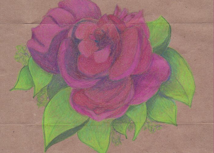 Rose Greeting Card featuring the drawing Finding the Extraordinary by Anne Katzeff