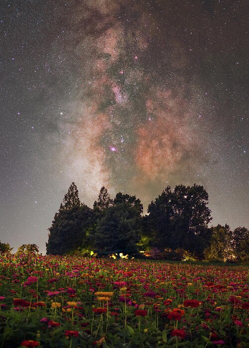 Nightscape Greeting Card featuring the photograph Fire and Flowers by Grant Twiss