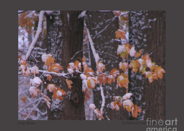 Snow Greeting Card featuring the photograph First Snow by Patricia Overmoyer