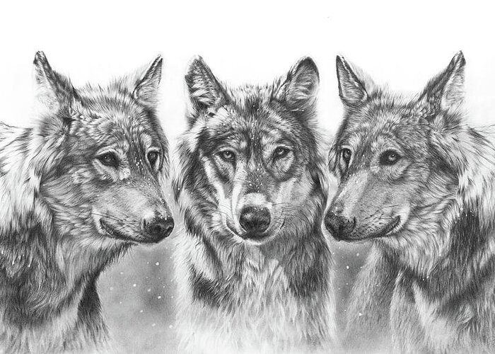 Wolves Greeting Card featuring the drawing First Snow by Peter Williams