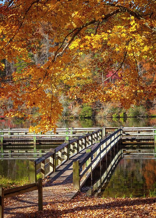 Carolina Greeting Card featuring the photograph Fishing Dock under the Maple Trees by Debra and Dave Vanderlaan