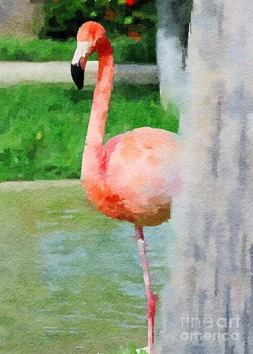 Birds Greeting Card featuring the photograph Flamingo watercolor by Theresa D Williams