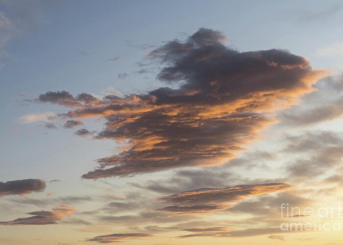Clouds Greeting Card featuring the photograph Cloud at sunset, like a bird by Adriana Mueller