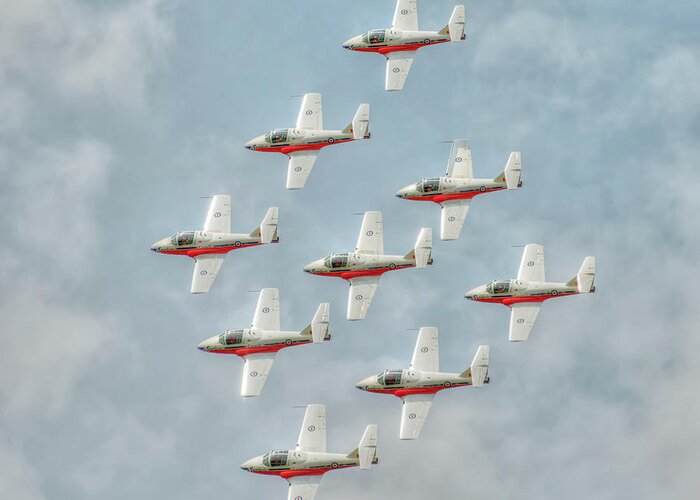Snowbirds Greeting Card featuring the photograph Flock of Snowbirds by CR Courson