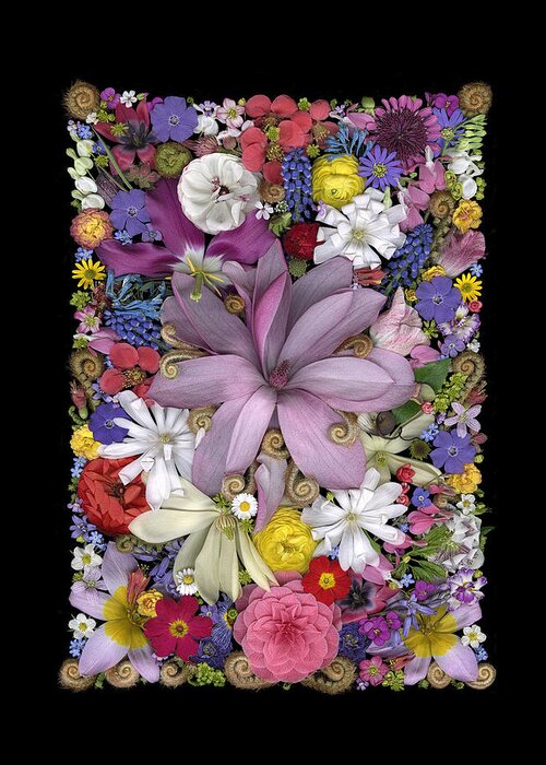 Flowers Greeting Card featuring the photograph Floral collage 23 by Sandra R Schulze Photography