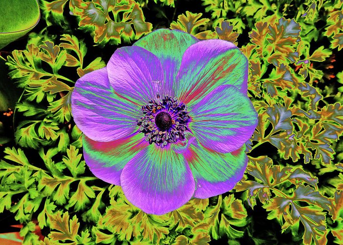 Flowers Greeting Card featuring the photograph Flower Art Deco by Andrew Lawrence