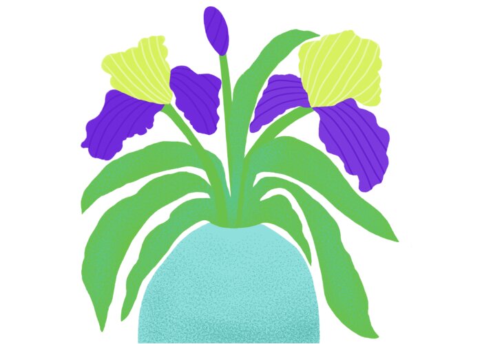 Irises Greeting Card featuring the drawing Flower-de-luce by Min Fen Zhu