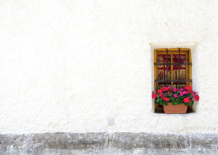 Colorful Flowers Sit In A Window In Slovenia. Greeting Card featuring the photograph Flowers outside a Window by Tito Slack