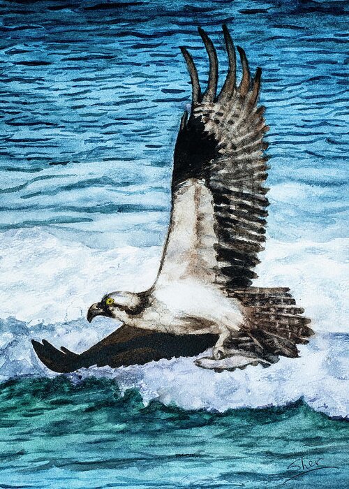 American Bald Eagles Greeting Card featuring the painting Flying Home With Dinner - Watercolor Art by Sher Nasser