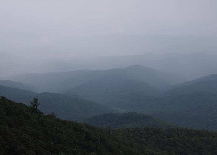 The Blue Ridge Mountains Greeting Card featuring the photograph Fogged In Day Blue Ridge Mountains by Karen Ruhl