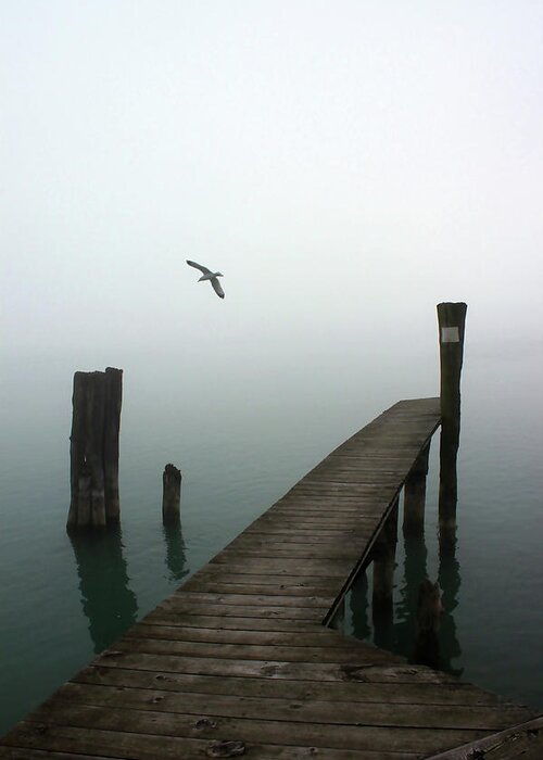 Fog Greeting Card featuring the photograph Foggy Dock 12 by Mary Bedy